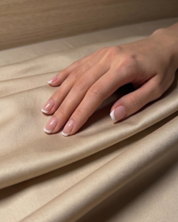 Champagne Beige — Sateen Cotton